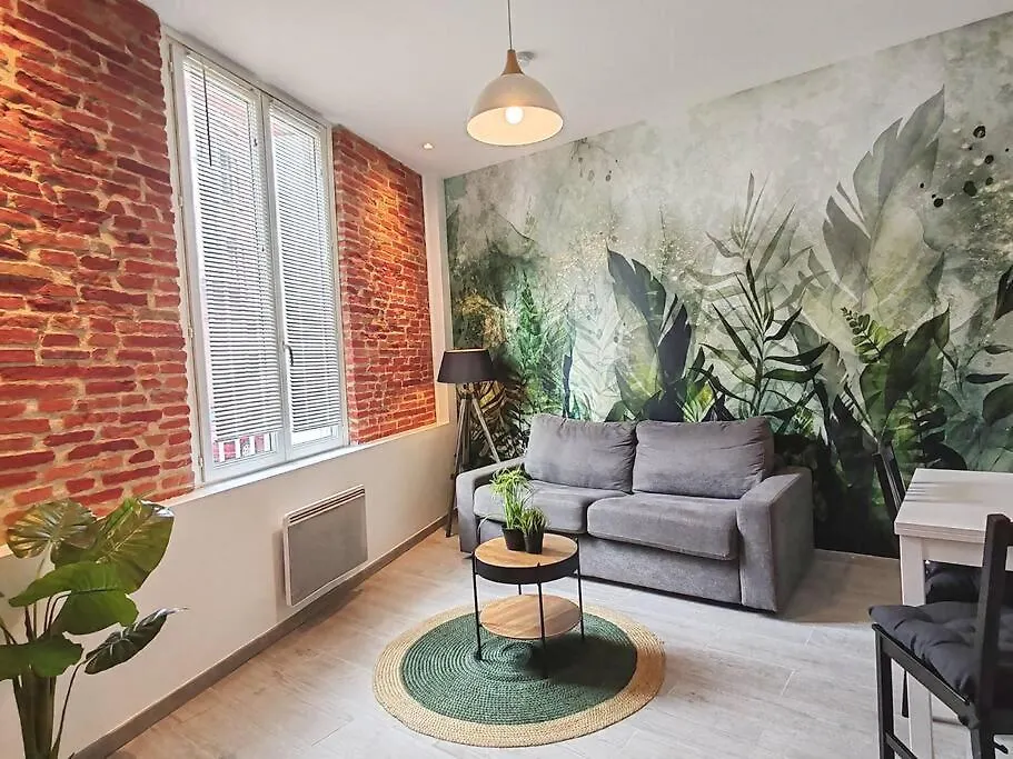 Appartamento O Toulouse-T2-Toulouse Hypercentre Gare-Netflix-Wifi